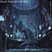 Black Tiger Sex Machine - Hacker