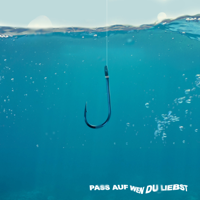 Ufo361 - Pass auf wen du liebst artwork