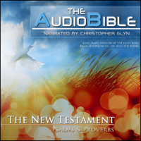 Christopher Glynn - The Audio Bible: Mathew: The New Testament artwork