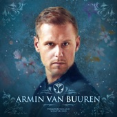 Tomorrowland Winter 2019: Armin van Buuren (DJ Mix) artwork