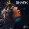 Coming Back Around - Shark lyrics