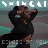 Echoes of You - Single