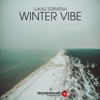 Winter Vibe - Single