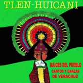 Raíces del Pueblo, Cantos y Danzas de Veracruz artwork