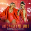 Você Nunca Me Amou (Ao Vivo) - Single