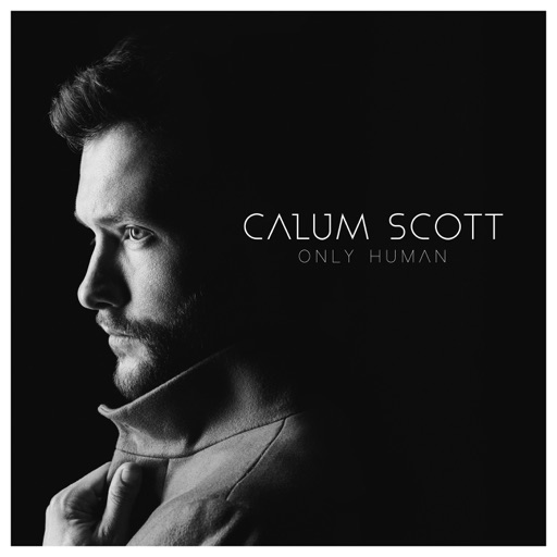 Art for You Are The Reason by Calum Scott