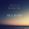 Backup - sea bars lyrics