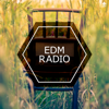 EDM Radio - Various Artists
