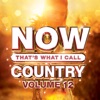 She Got the Best of Me by Luke Combs iTunes Track 2