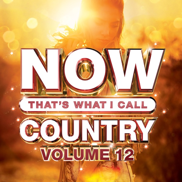 Various Artists - NOW That's What I Call Country, Vol. 12