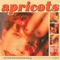 Apricots artwork