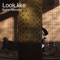 Look Like - Stefan Mendez lyrics