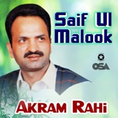 Saif-ul-Malook artwork