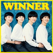 WINNER - HOLD