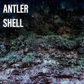Antler Shell - EP