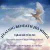 Healing Beneath His Wings (Live) [feat. Maurice Sklar & Julie Meyer] album lyrics, reviews, download