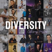 Diversity, Vol. 2: Contemporary Funky Jazz artwork