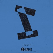 Toolroom Radio Ep537 - Presented by Mark Knight (DJ Mix) artwork