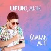 Çamlar Altı artwork