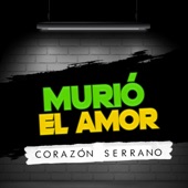 Murió el Amor artwork