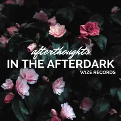 Afterthoughts in the Afterdark - Single by Vinnie Vento album reviews, ratings, credits