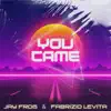 Stream & download You Came - Single