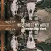Welcome to My World - Single album lyrics, reviews, download