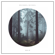 Waldlichtung - Michael Nickel