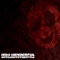 How Wonderful - NateWantsToBattle lyrics