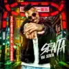 Senta Vai Senta - Single album lyrics, reviews, download