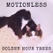 Motionless (feat. Heart of a Lion Project) - Golden Hour Trees lyrics