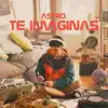 Te Imaginas - Single album lyrics, reviews, download