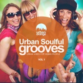 Urban Soulful Grooves Vol.1: Urban Vibes for Urban People artwork