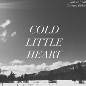Joshua Unitt & Sabrina Fisher - Cold Little Heart - Line Dance Choreographer