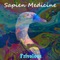 Nose Straightener - Sapien Medicine lyrics