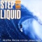 Step Into the Liquid artwork