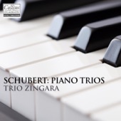 Schubert: Piano Trios artwork