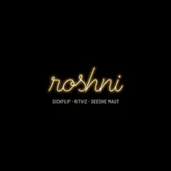 Roshni - Single by Ritviz, Seedhe Maut & Sickflip album reviews, ratings, credits