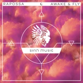 Awake & Fly artwork