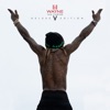 Life Of Mr. Carter by Lil Wayne iTunes Track 3