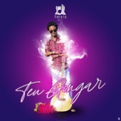 Teu Gingar - EP artwork