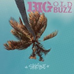 Skribe - Big Old Buzz