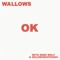 OK (with Remi Wolf & Solomonophonic) artwork