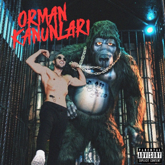 Cover artwork for Babafingo