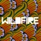 Wildfire (OVO Remix) [feat. Drake] - SBTRKT lyrics