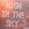 High in the Sky - Single
