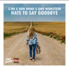 Hate to Say Goodbye - Single