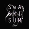 Liar - Kisum & Se.A lyrics