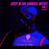 Deep in Dis Various Artists Vol.1 artwork