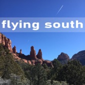 Flying South - El Chicano